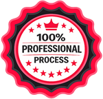 Professional Process